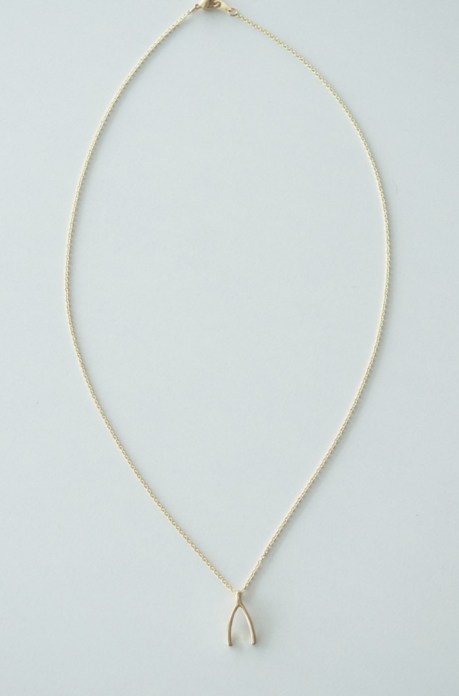 wishbone necklace